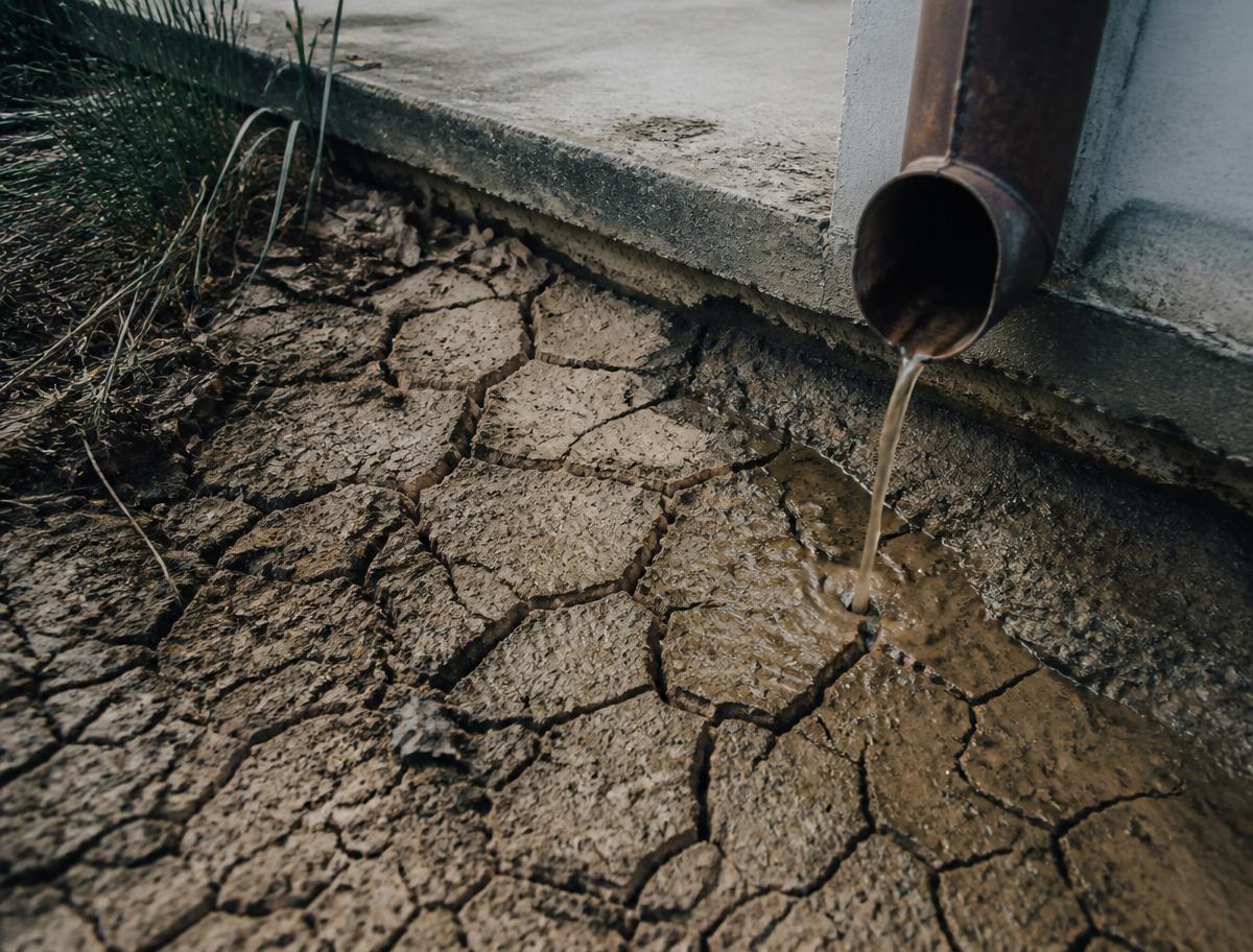 Cracked reactive clay soil beside a Sydney home's slab edge with a downpipe discharging muddy runoff onto the shrinkage cracks