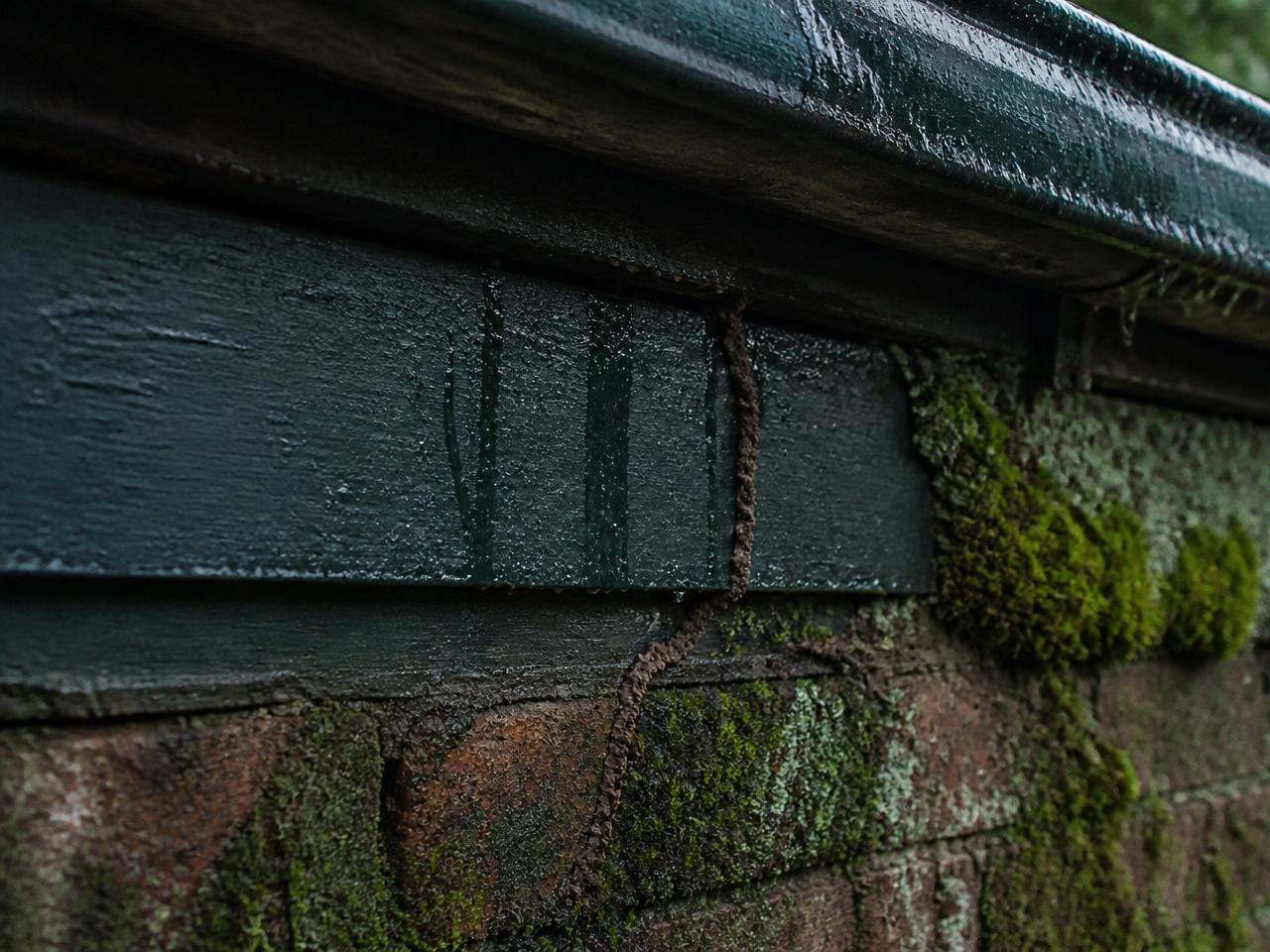 Close-up of a damp weatherboard fascia and moss-covered brick foundation below an overflowing Sydney gutter, showing the moisture staining pattern that softens timber and lets subterranean termites bridge from soil into the wall frame